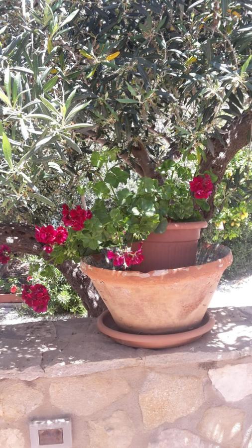 Modus B&B San Vito Lo Capo Exterior photo